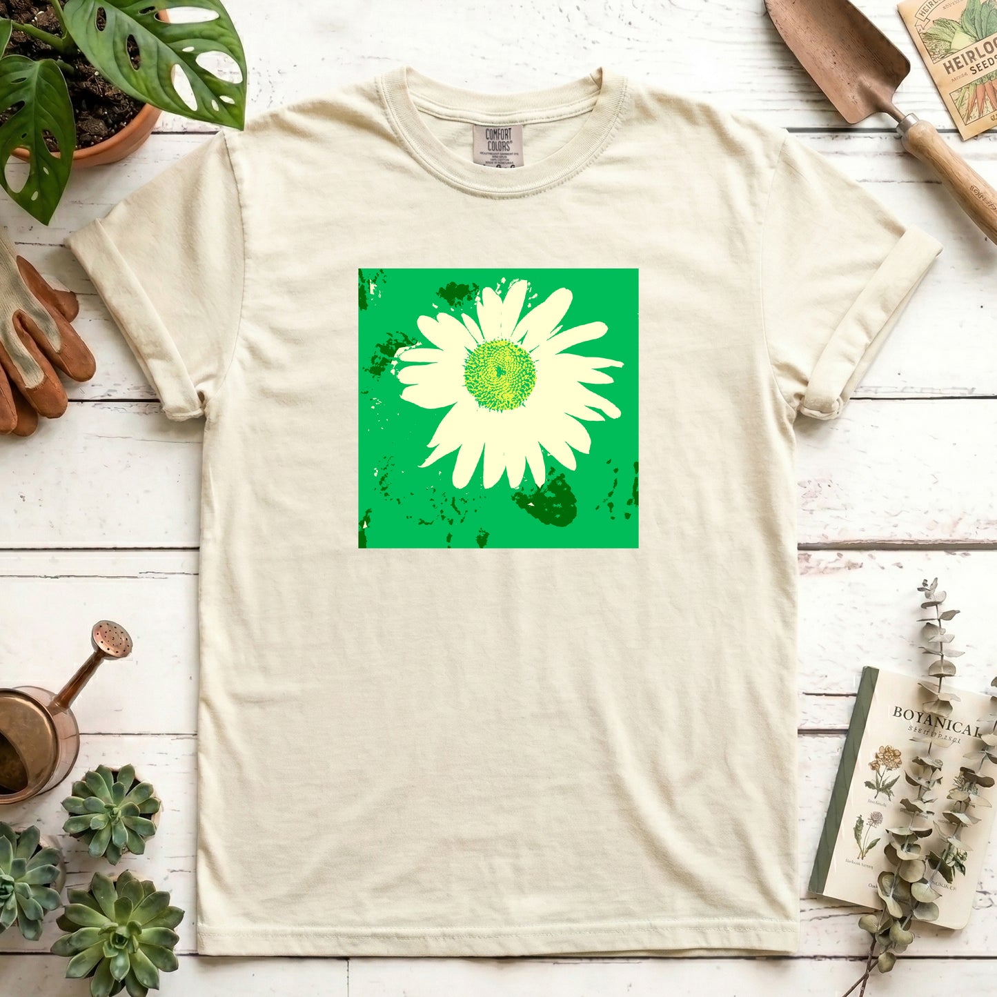 Pop of Daisy