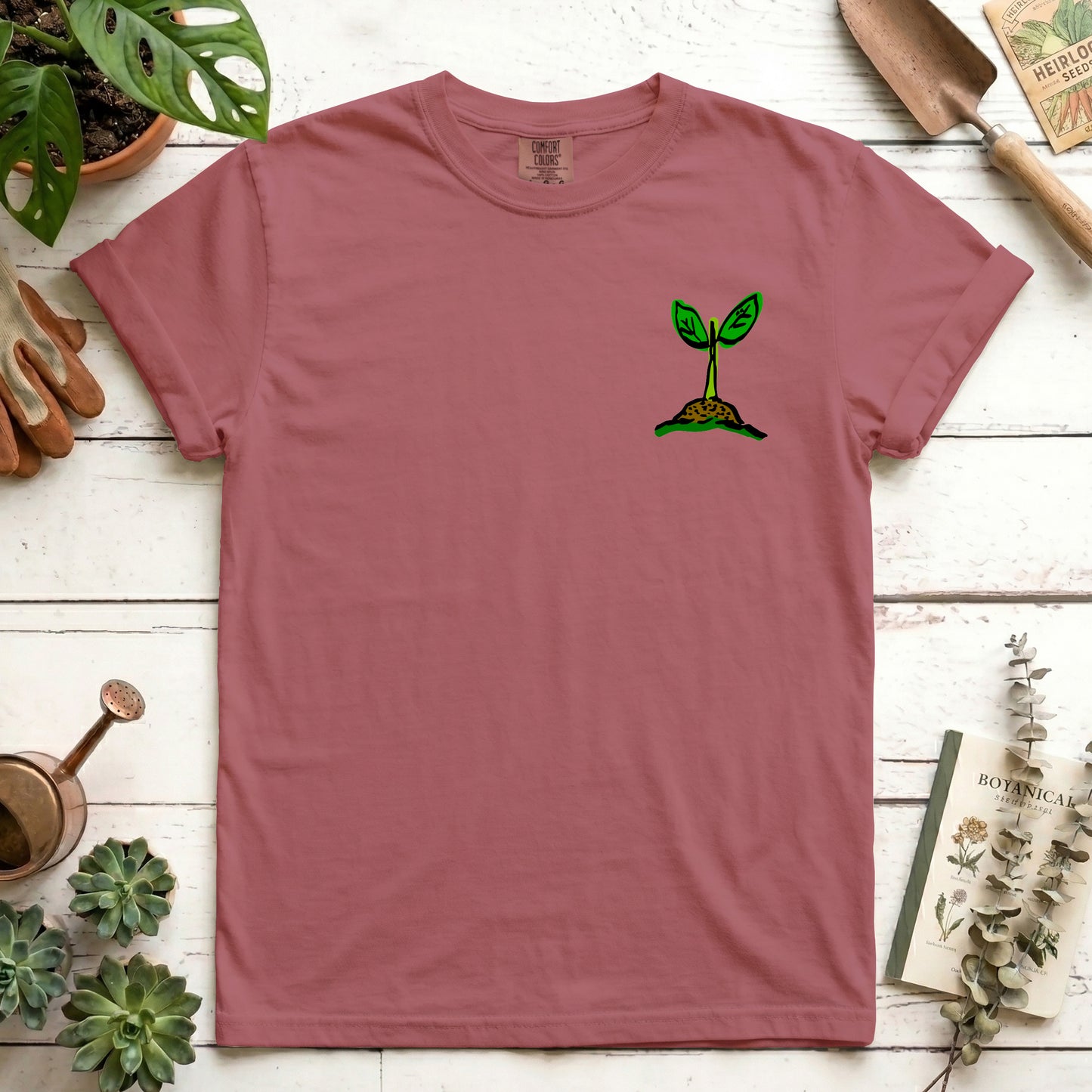 Seedling