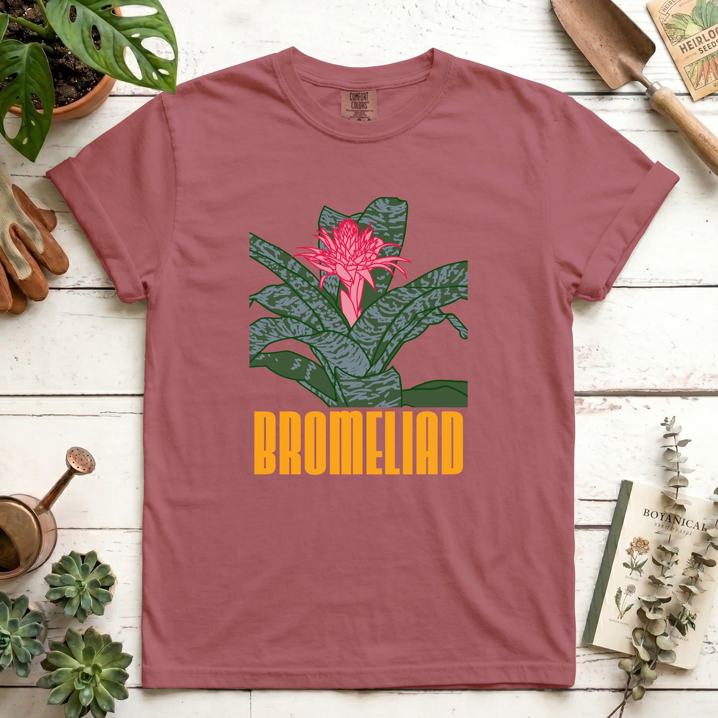 Bromeliad - Front