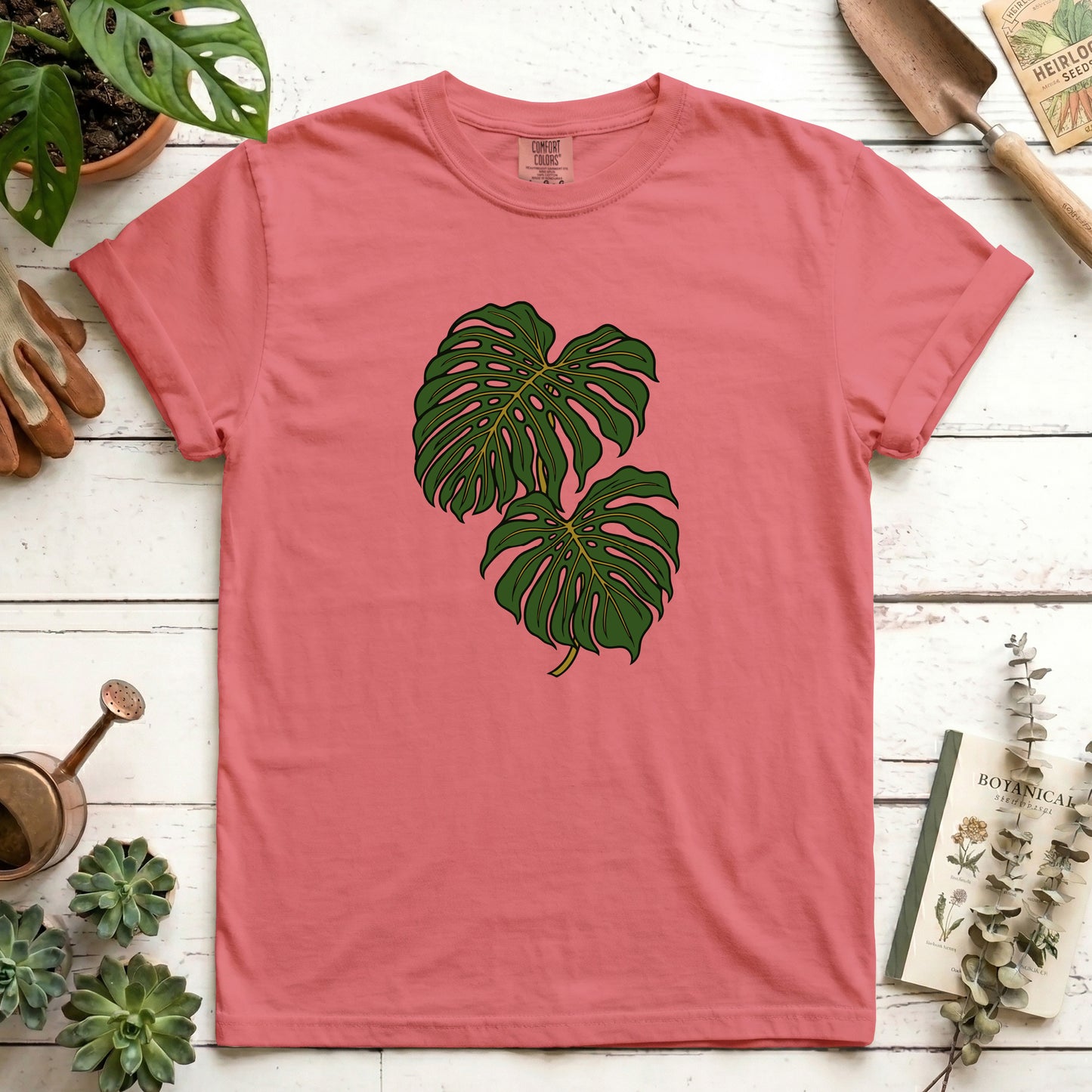 Monstera - Front