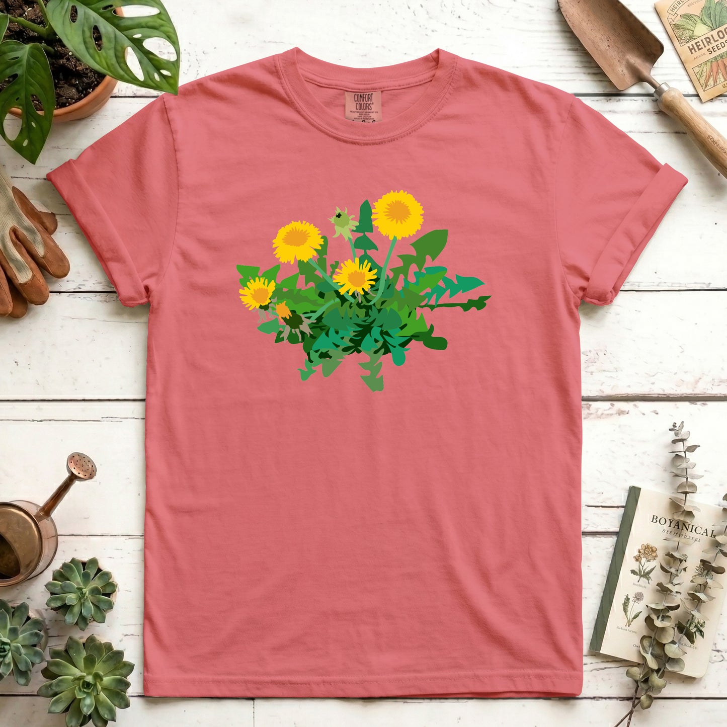 Dandelion - Front