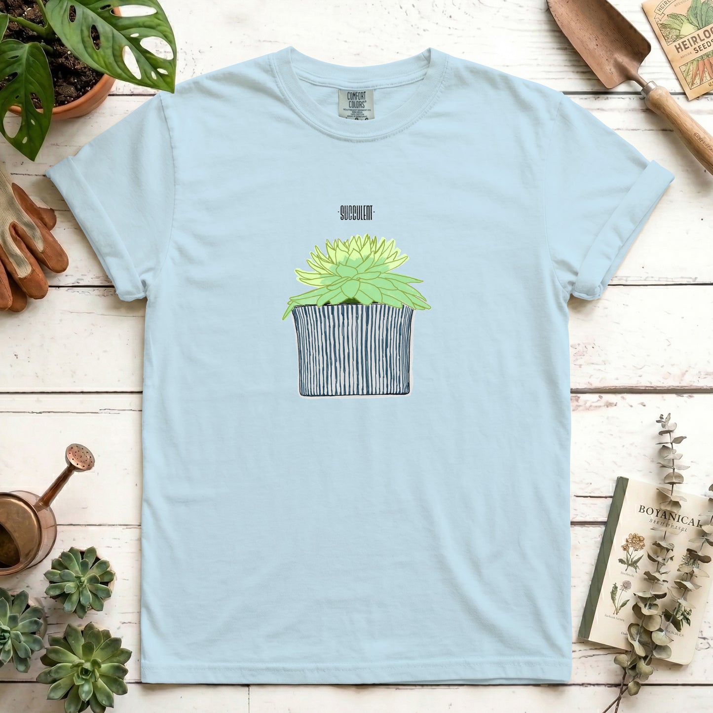 Succulent