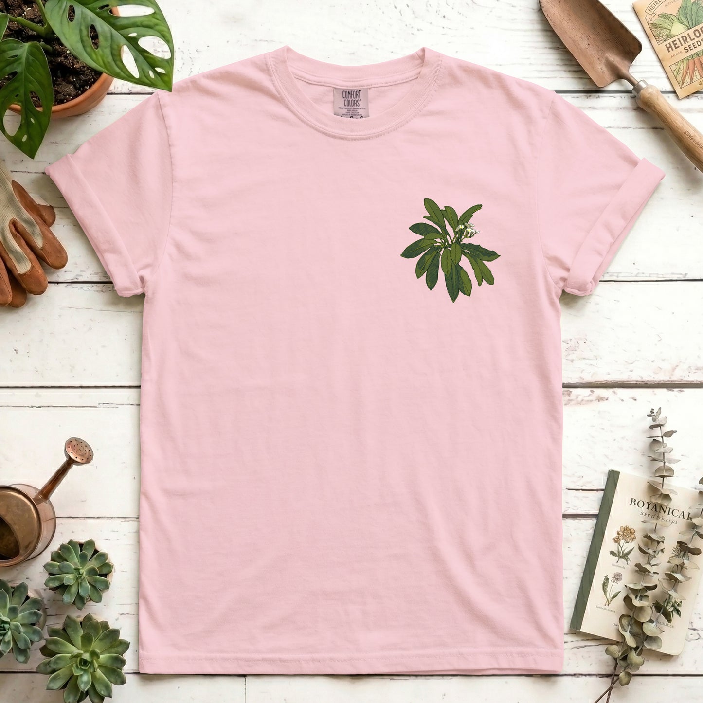 Euphorbia - Front