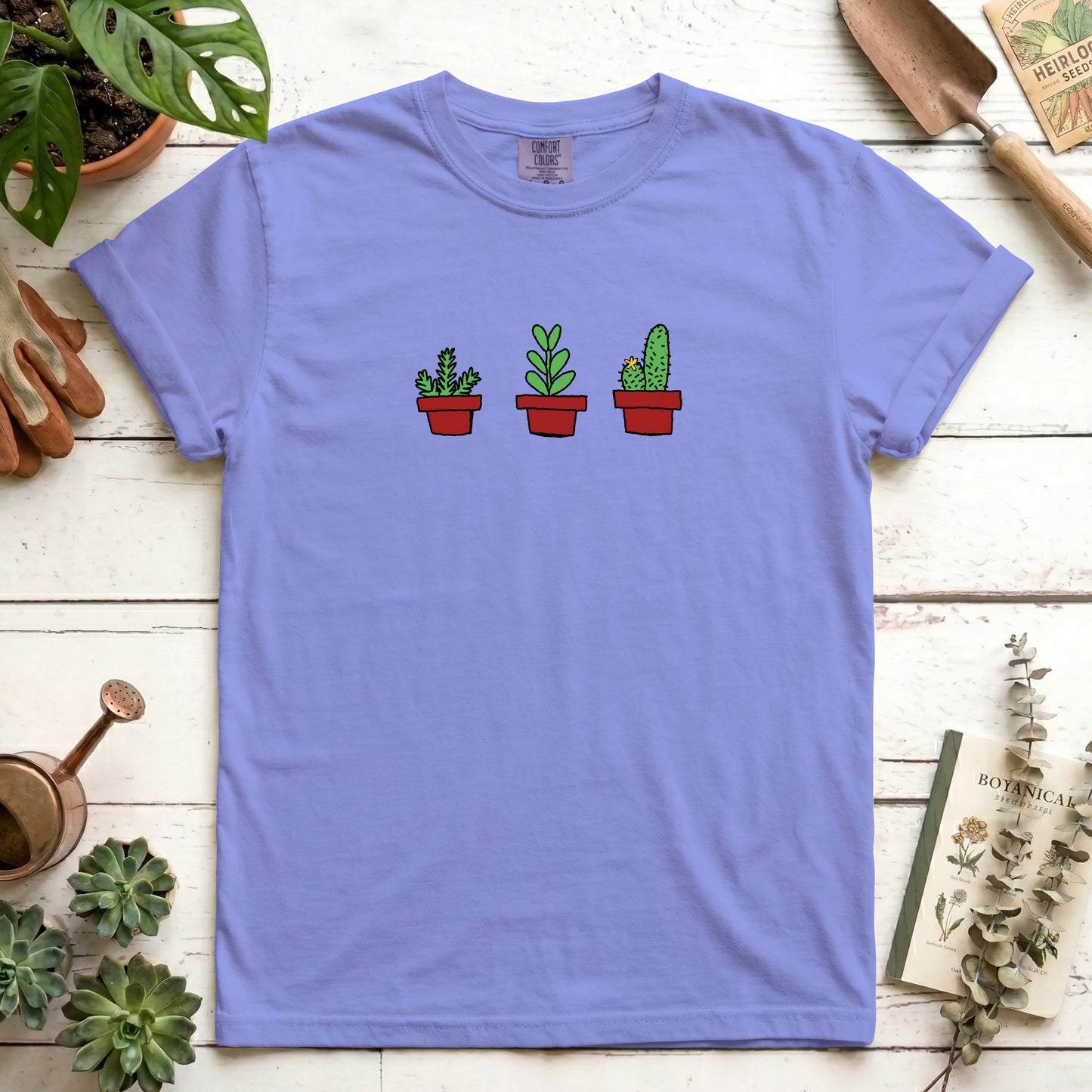 house plants