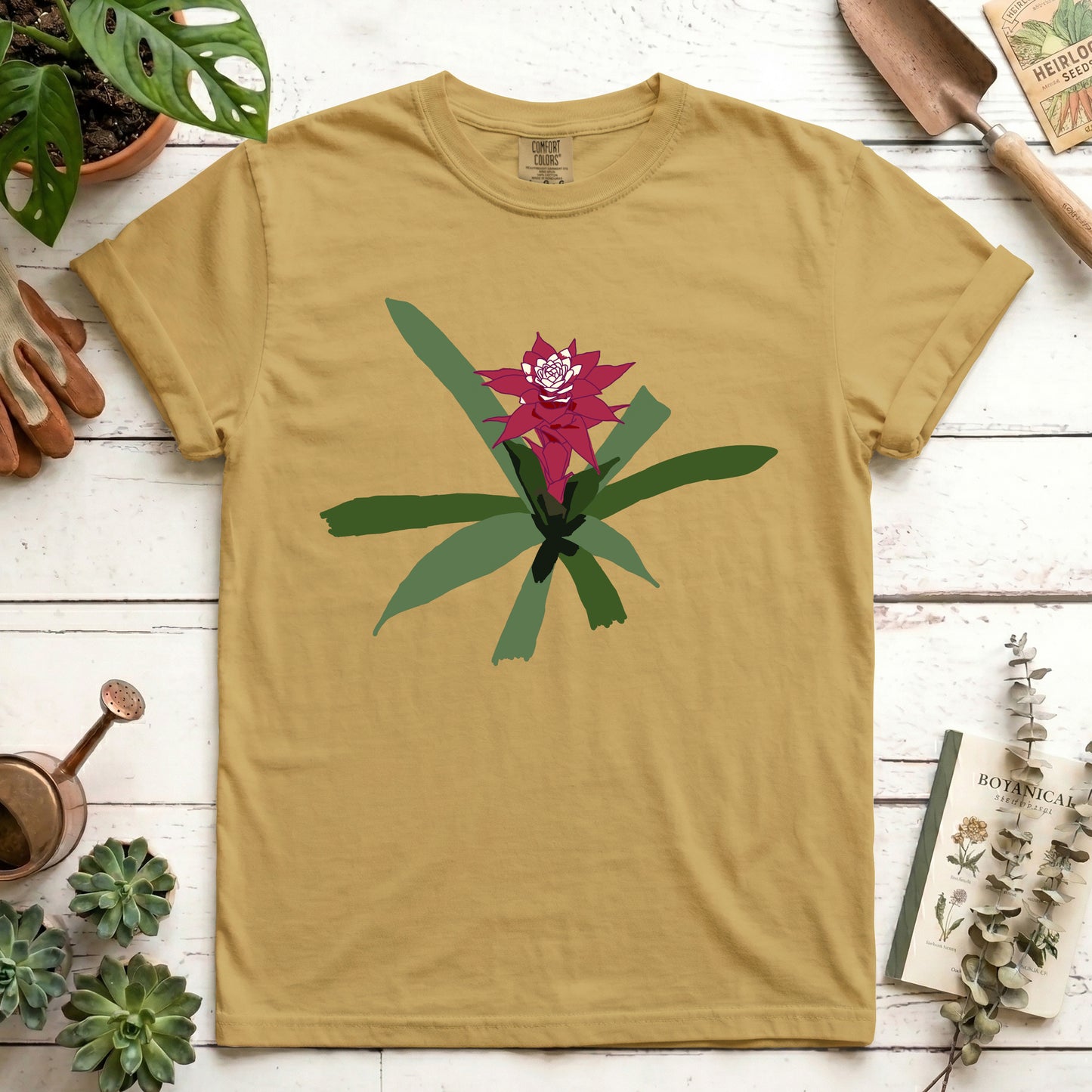 maroon bromeliad
