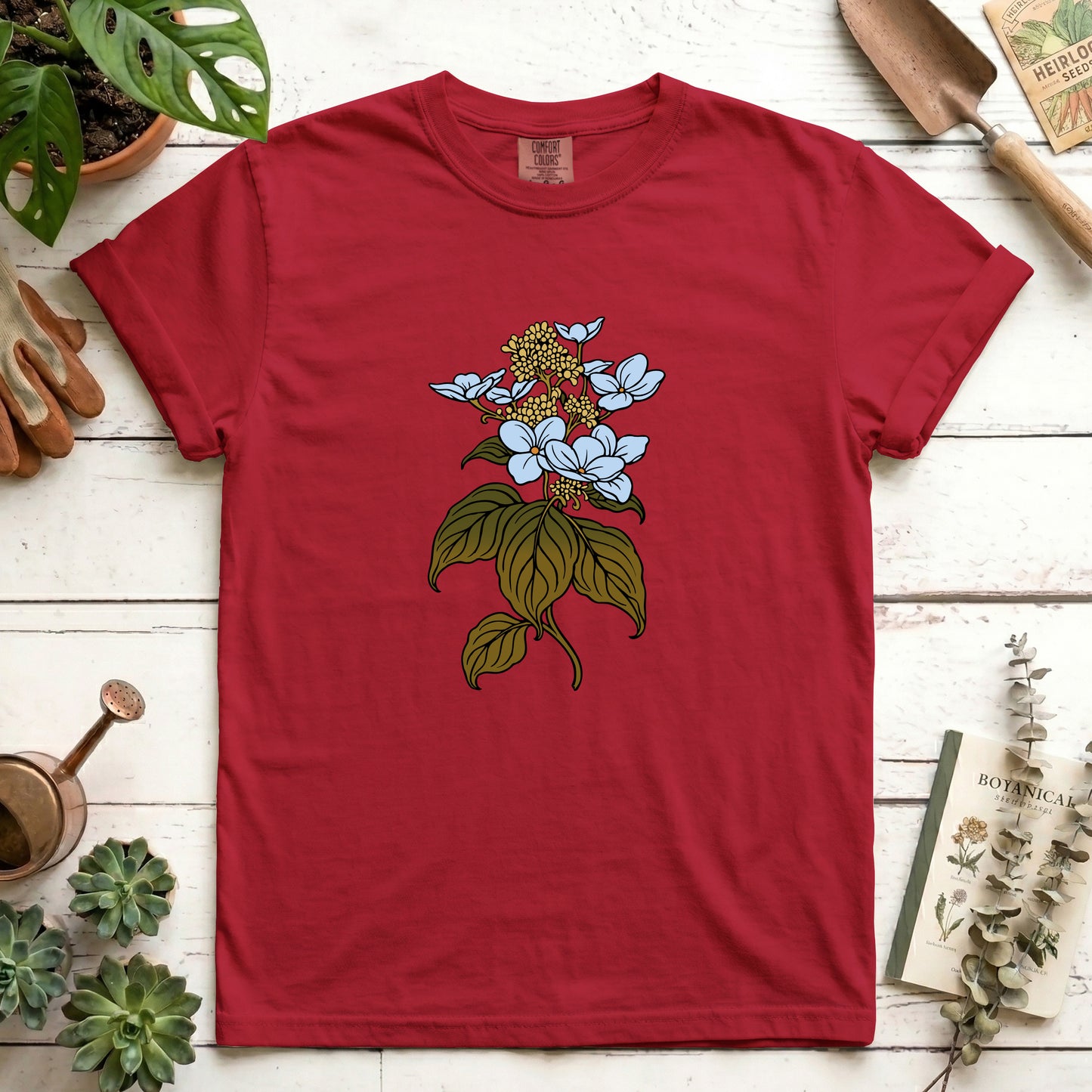 Hydrangea - Front