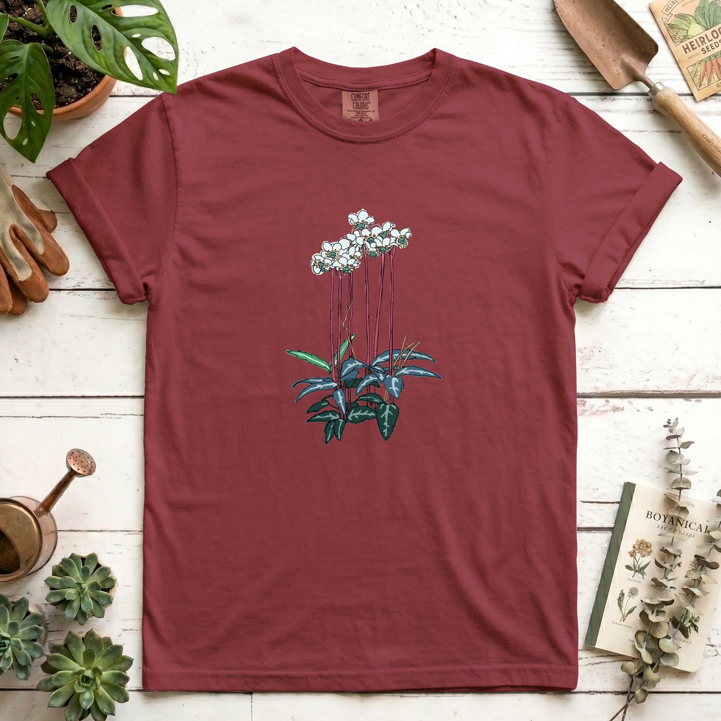 Spotted Wintergreen - Front