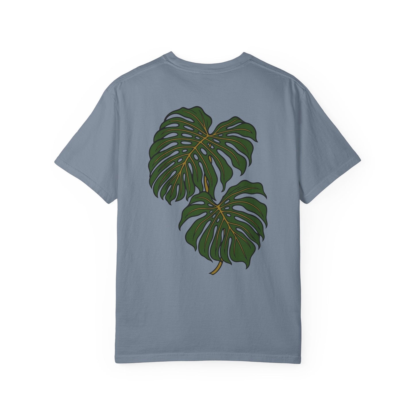 Monstera