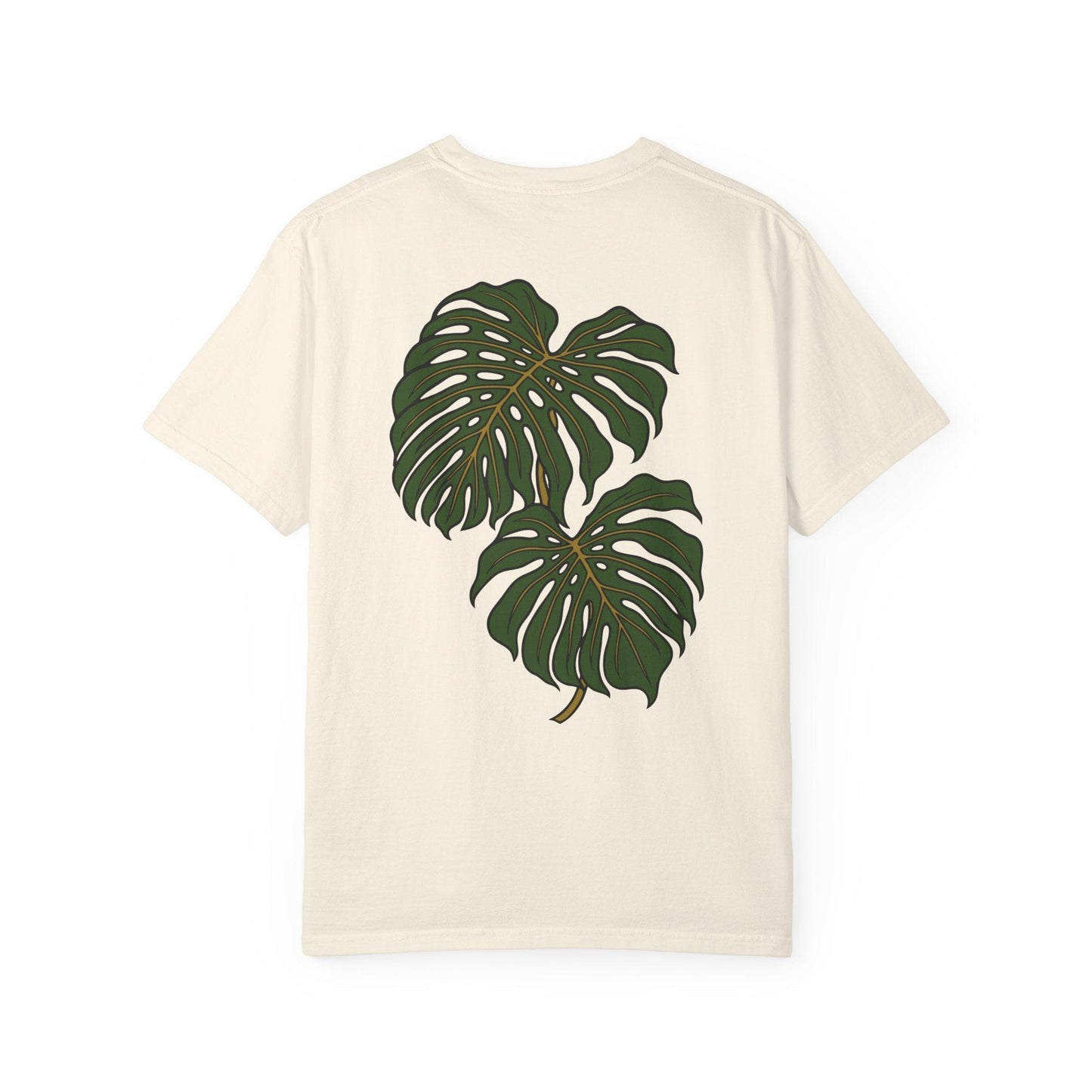 Monstera