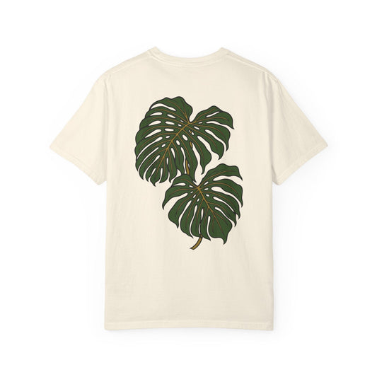 Monstera