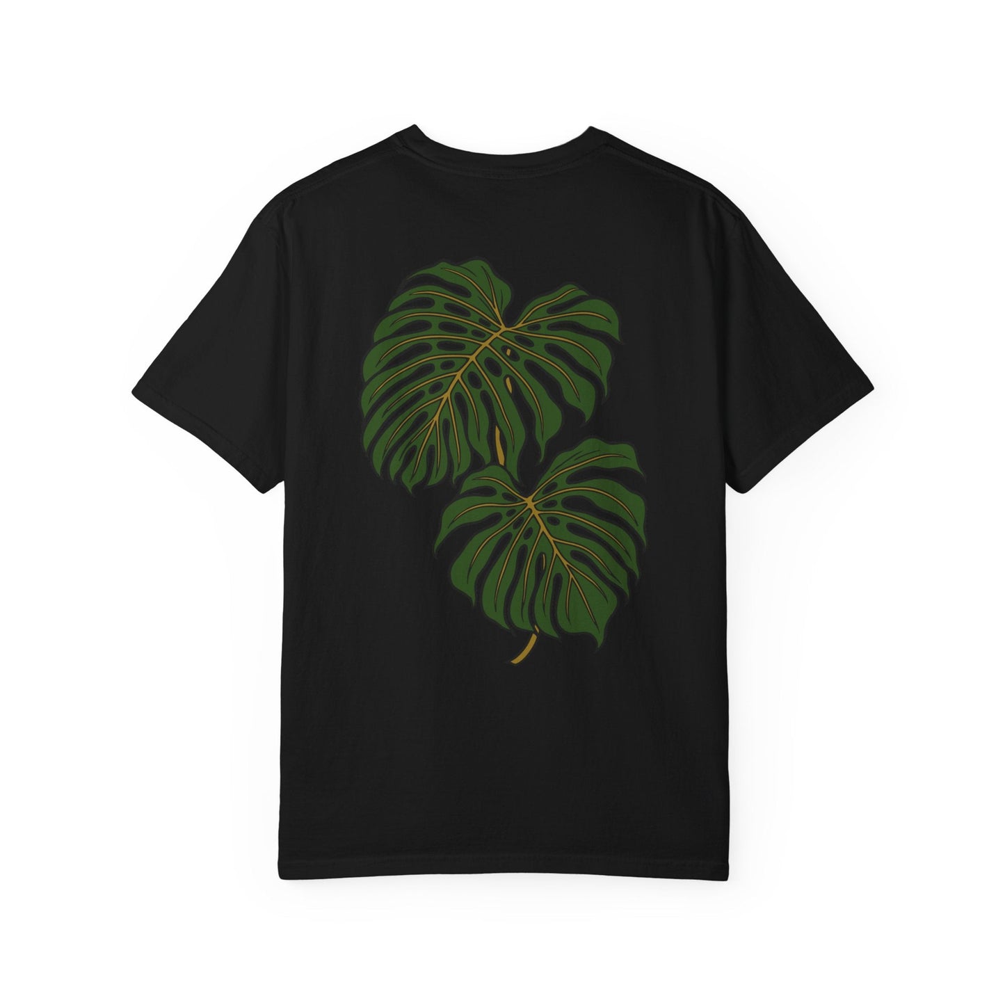 Monstera