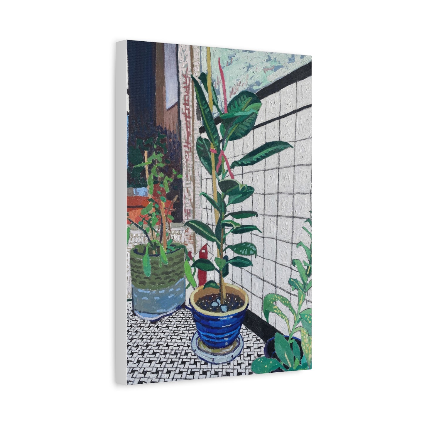 rubber plant