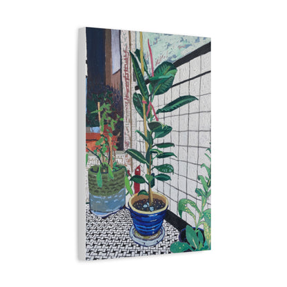rubber plant