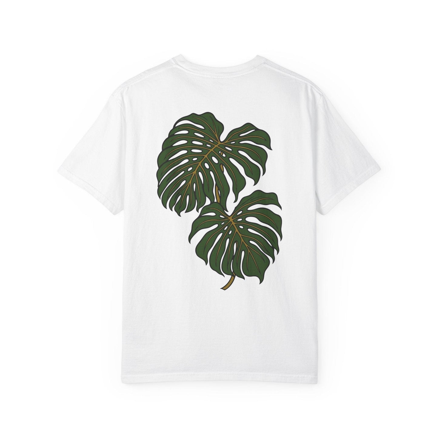 Monstera