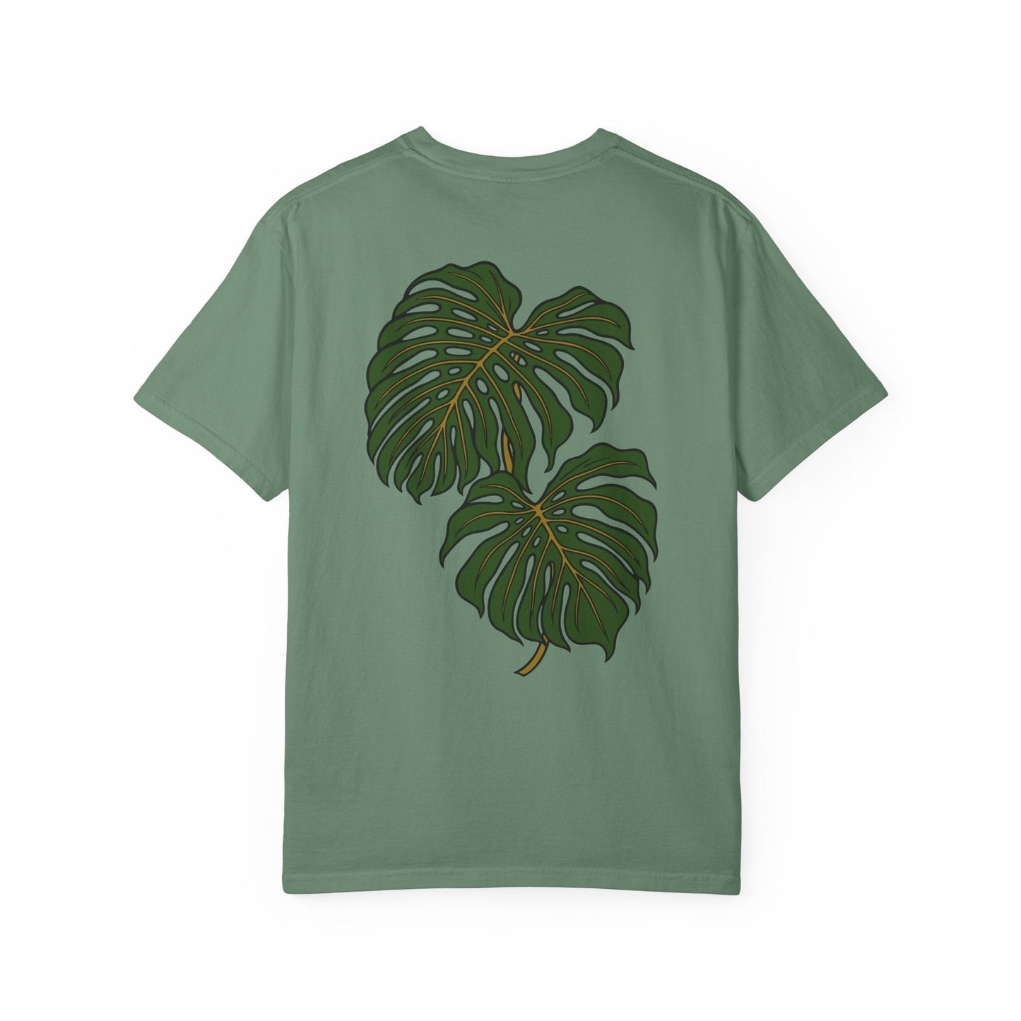 Monstera