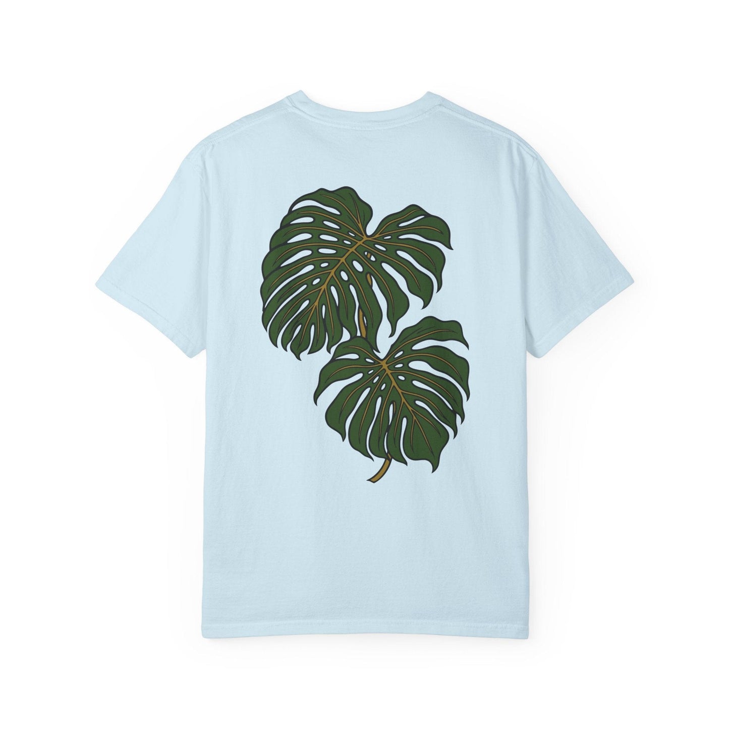 Monstera