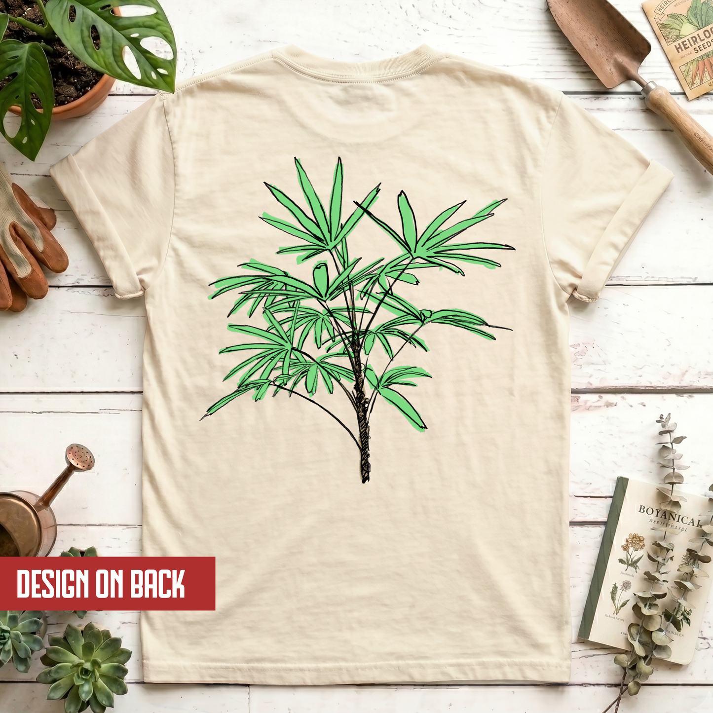 Lady Palm
