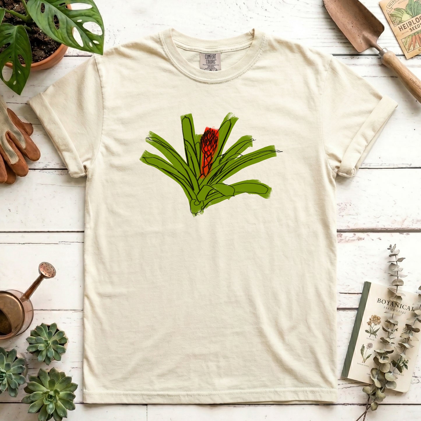 Bromeliad sketch