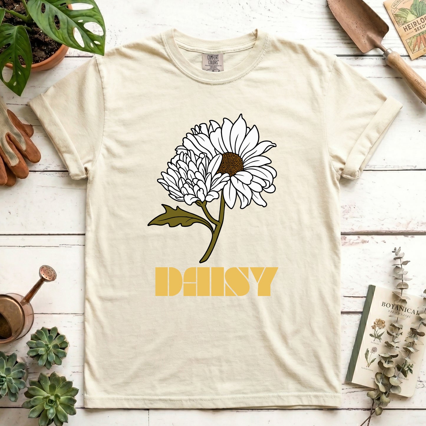 Daisy