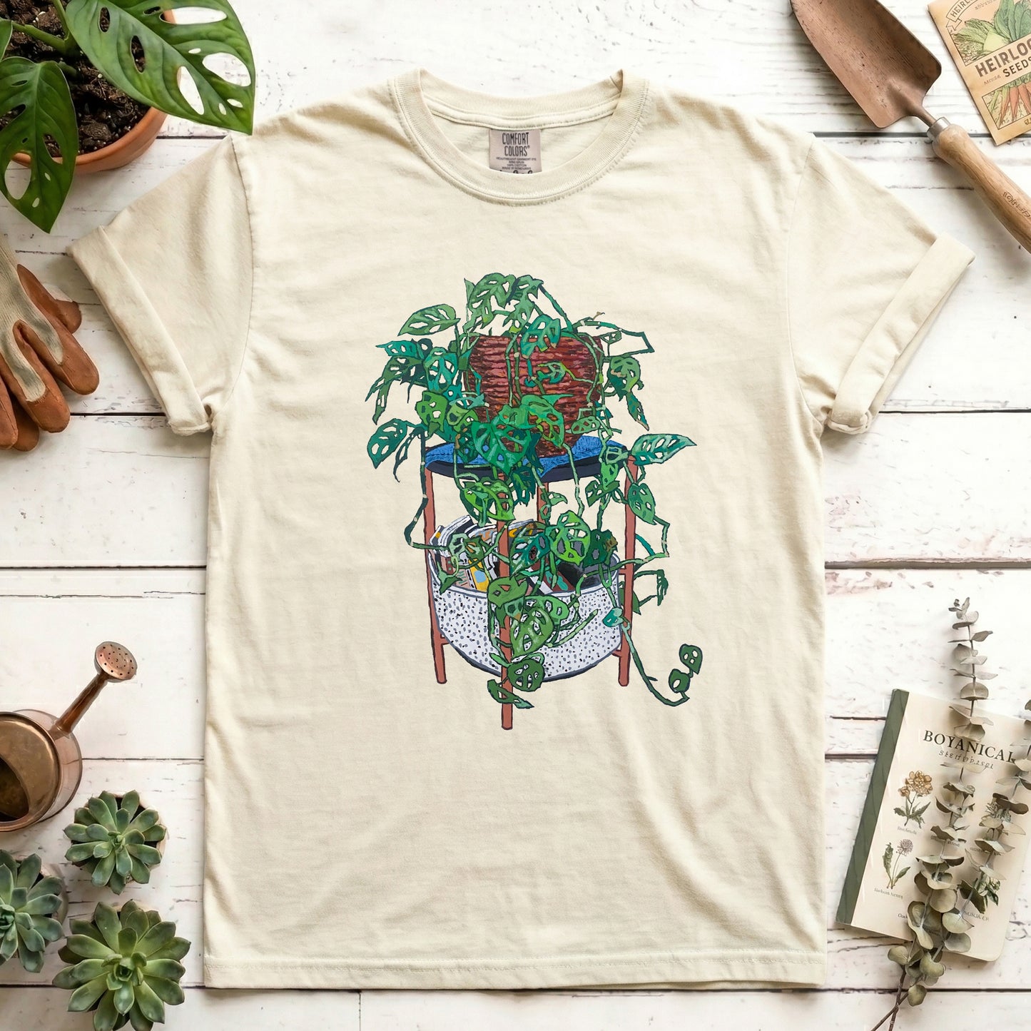 Japanese Monstera