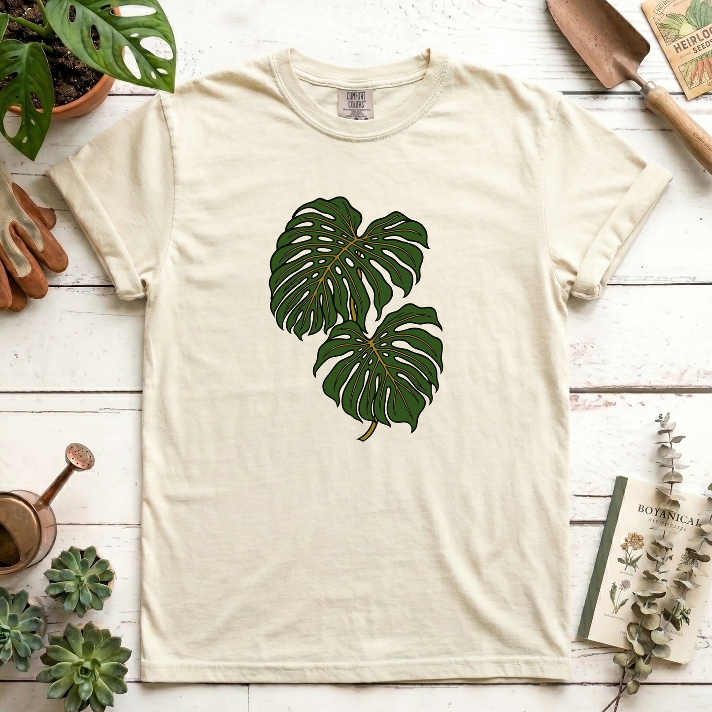 Monstera - Front