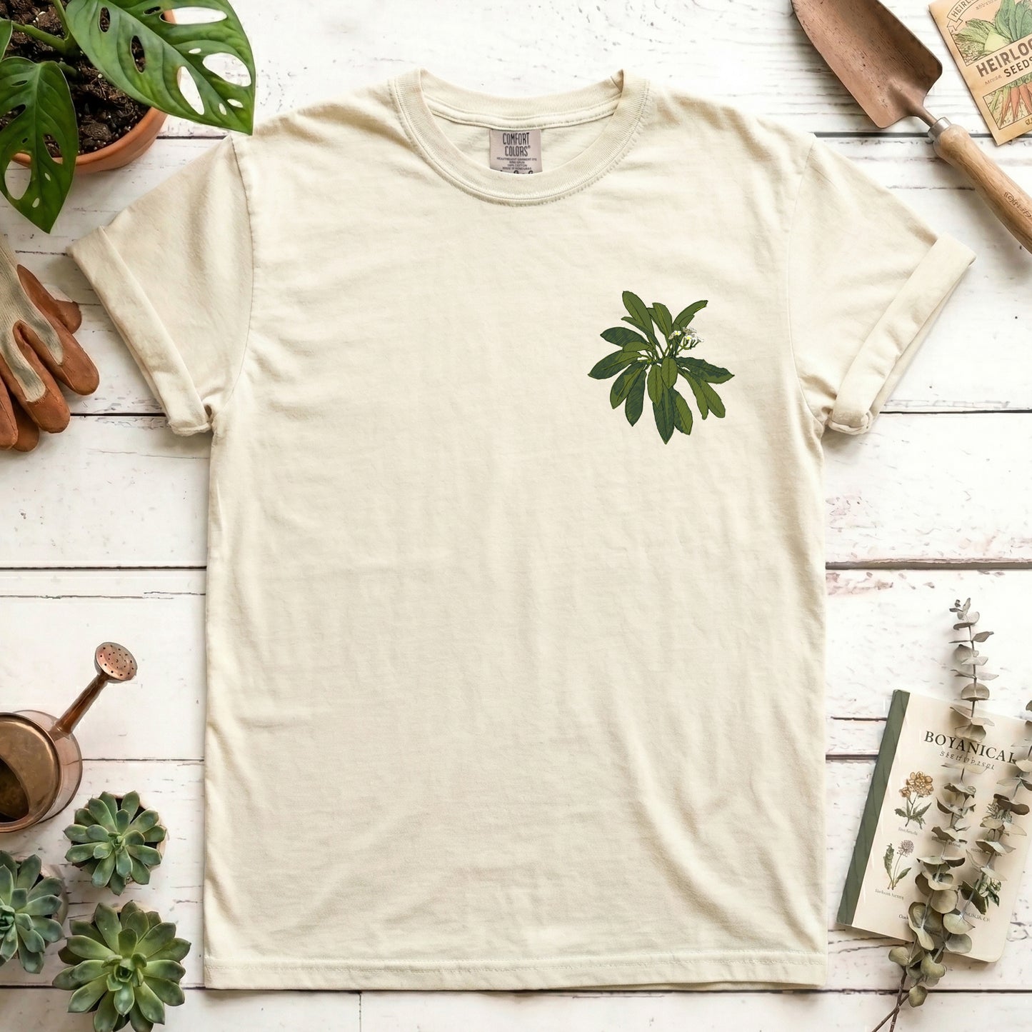 Euphorbia - Front