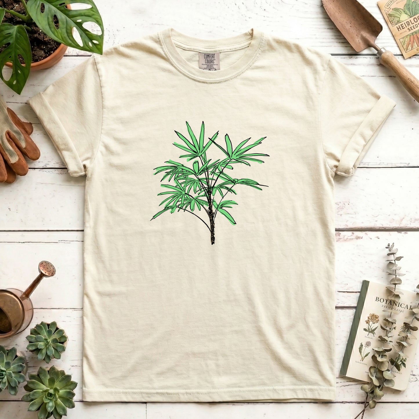 Lady Palm - Front