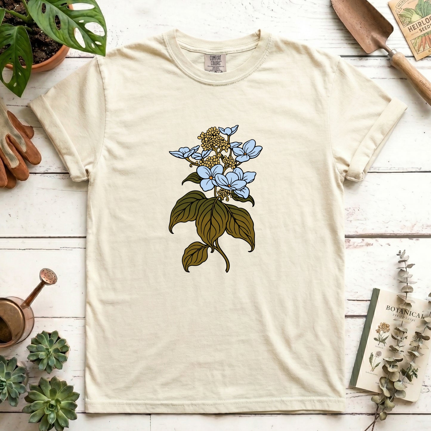 Hydrangea - Front