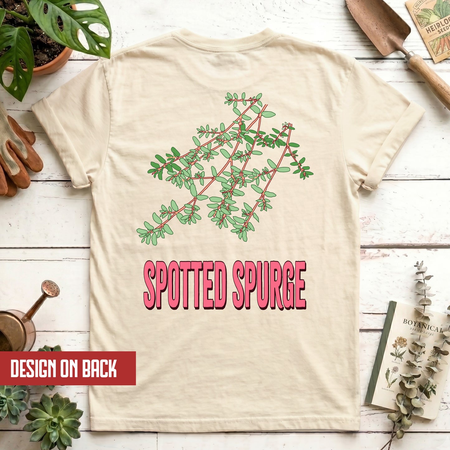 Spotted Spurge