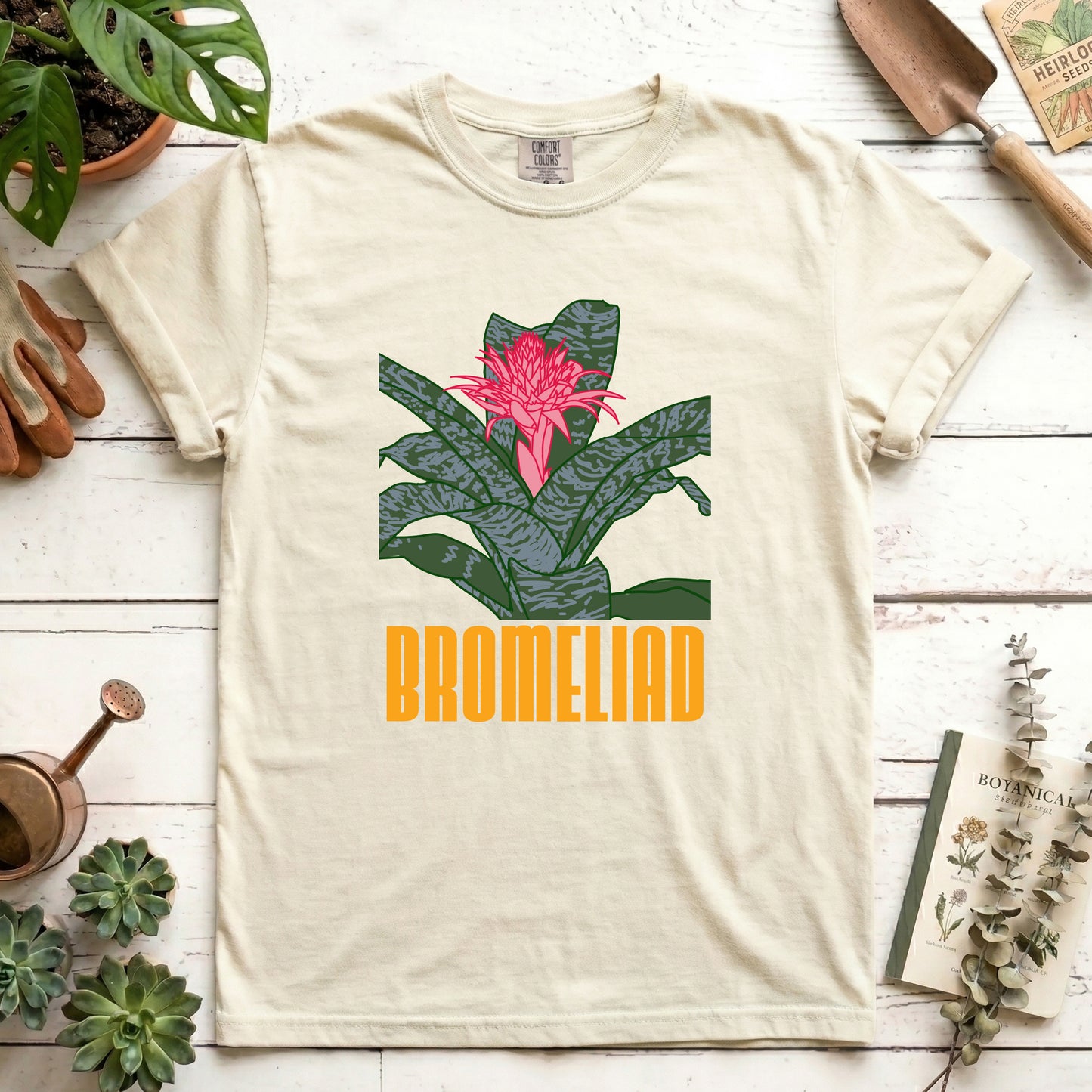 Bromeliad - Front
