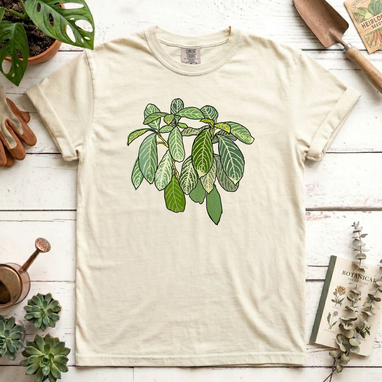 Zebra Plant
