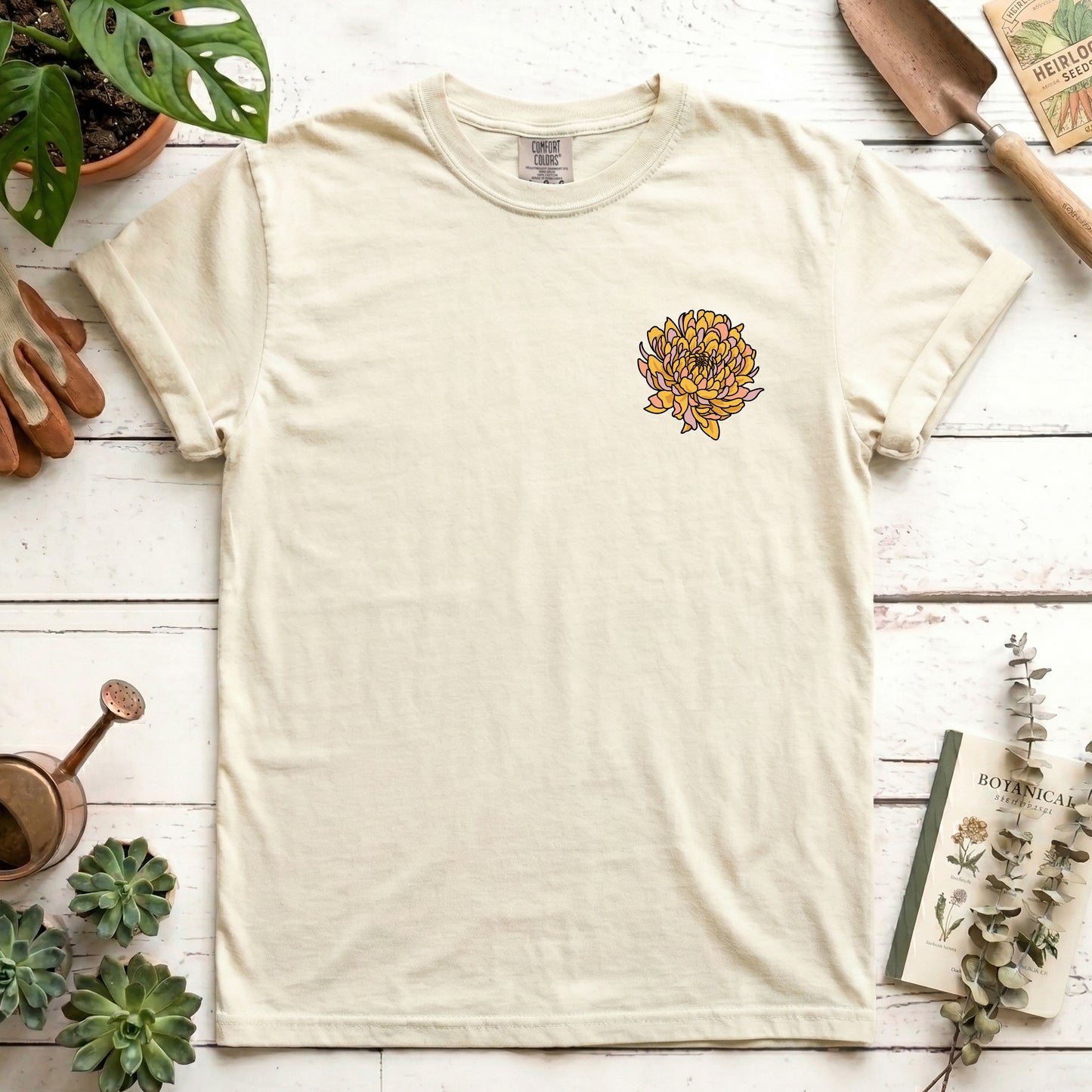 Chrysanthemum