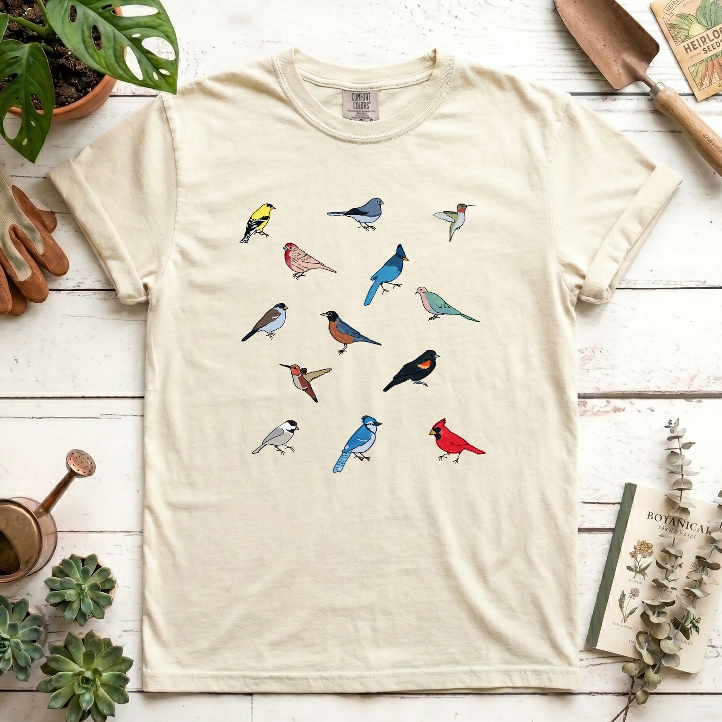 Birds