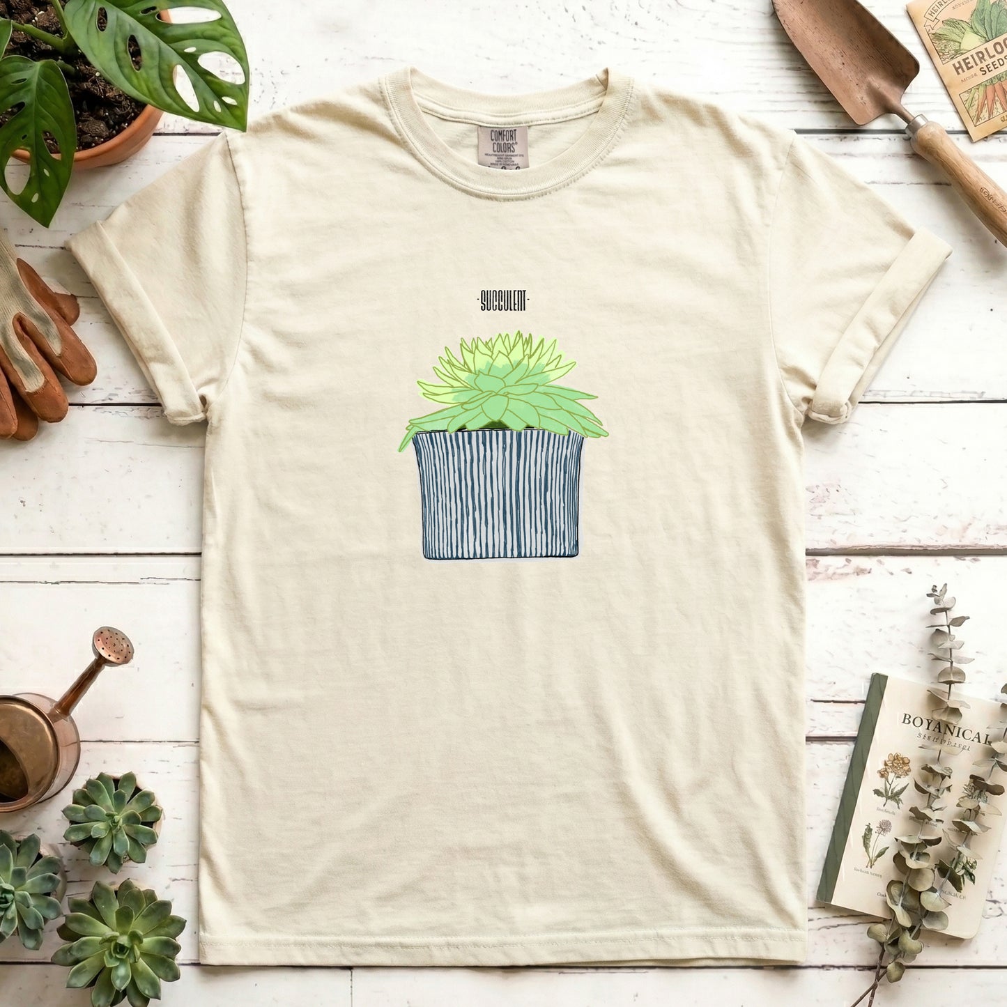 Succulent