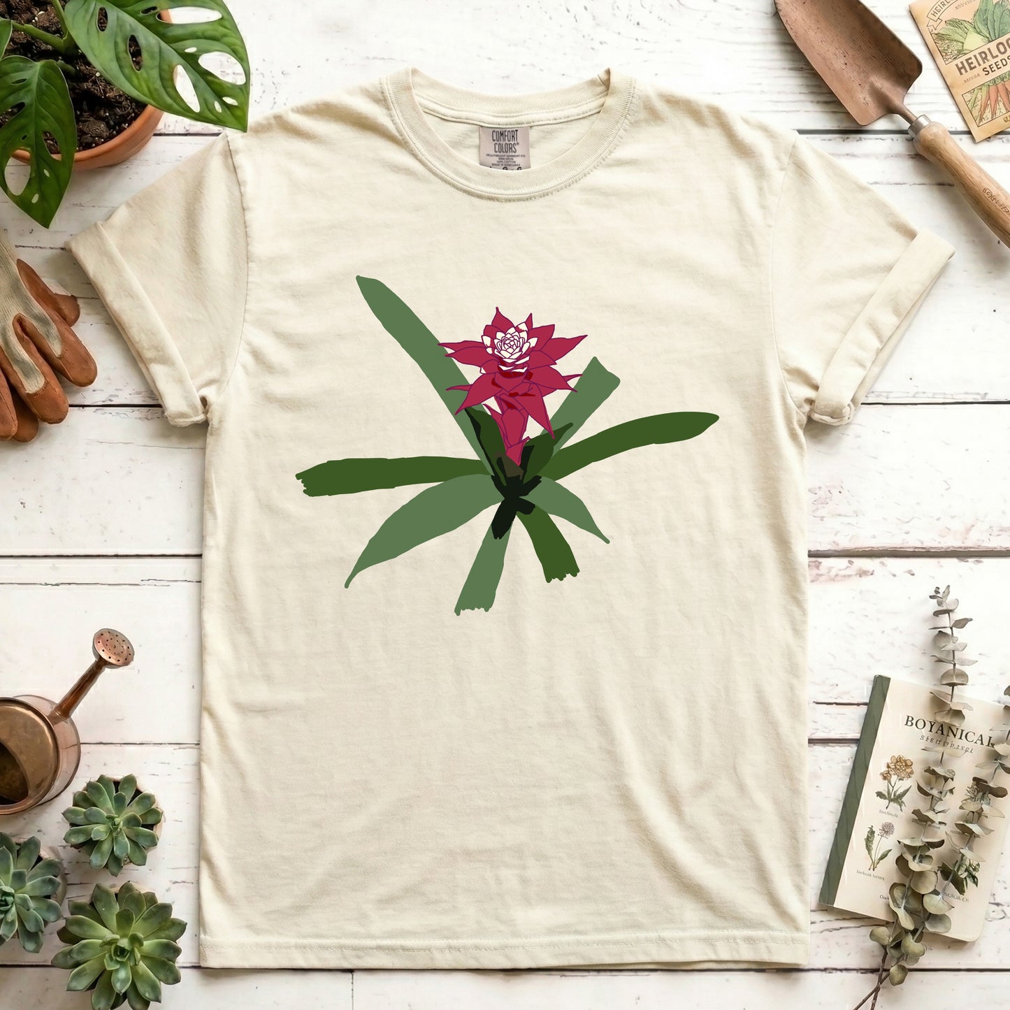 maroon bromeliad