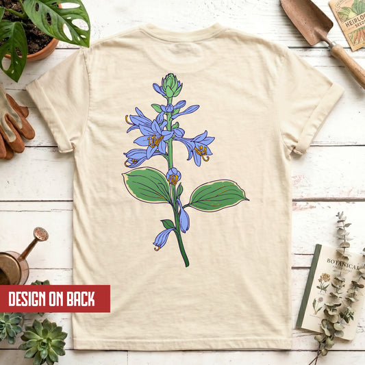 Hosta