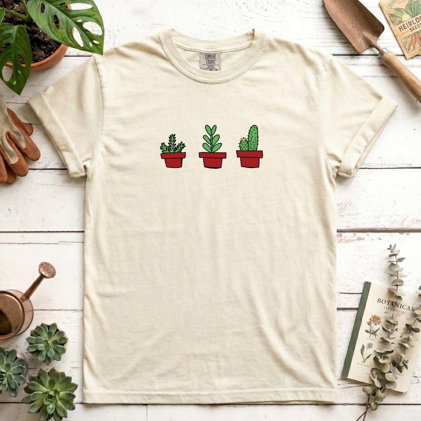 house plants
