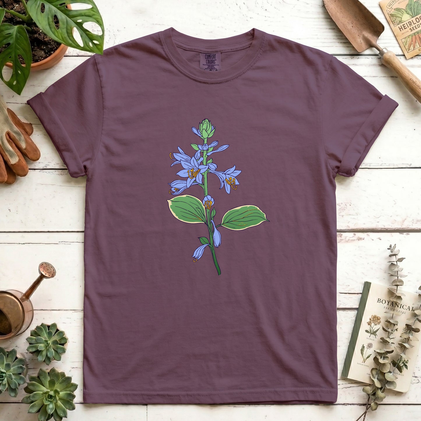 Hosta - Front