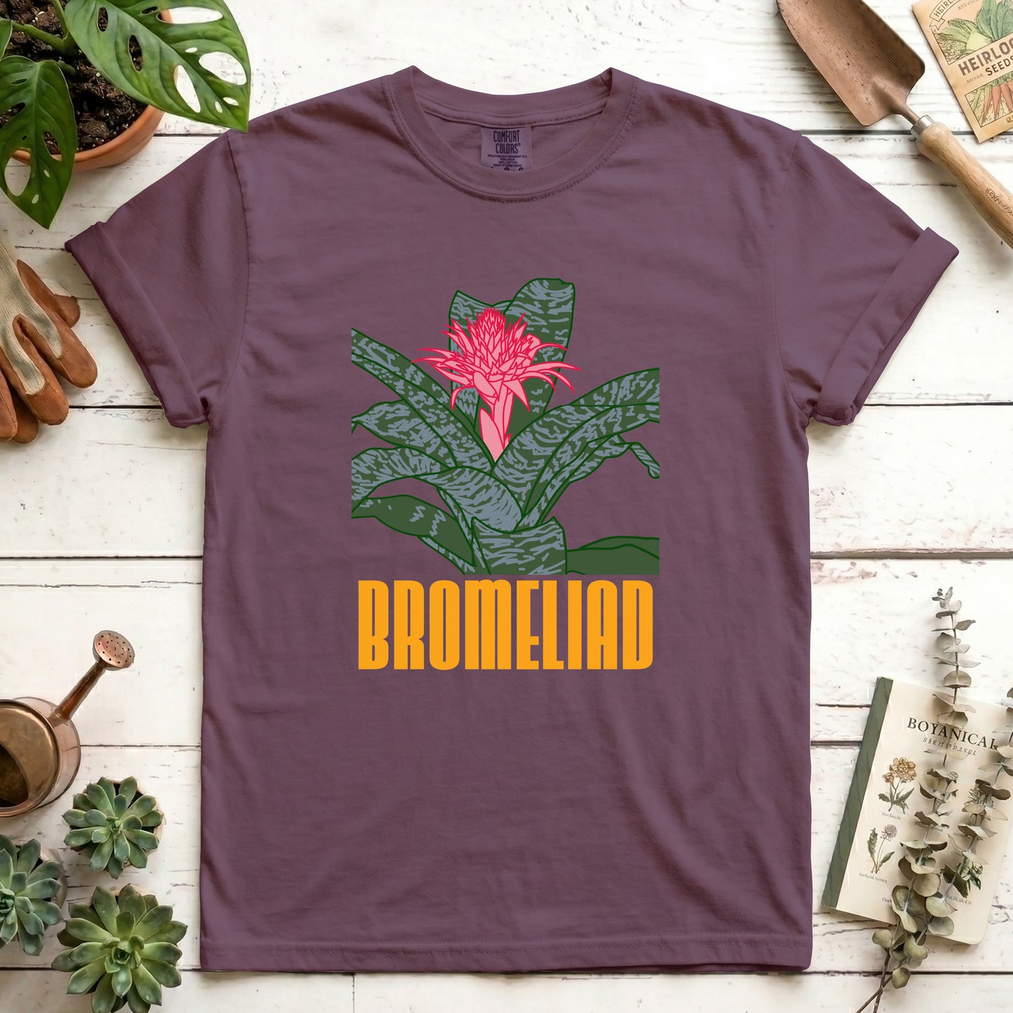 Bromeliad - Front