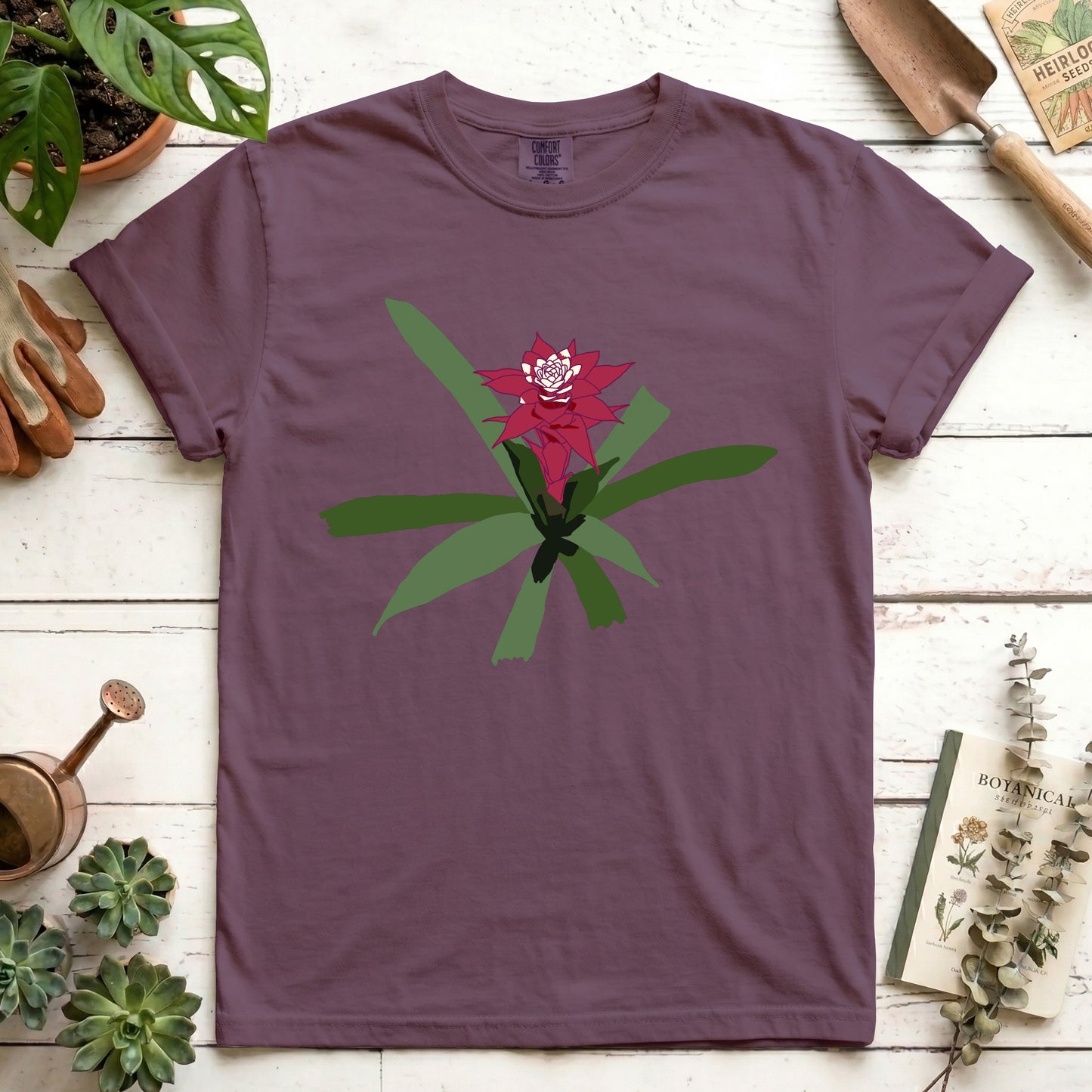 maroon bromeliad