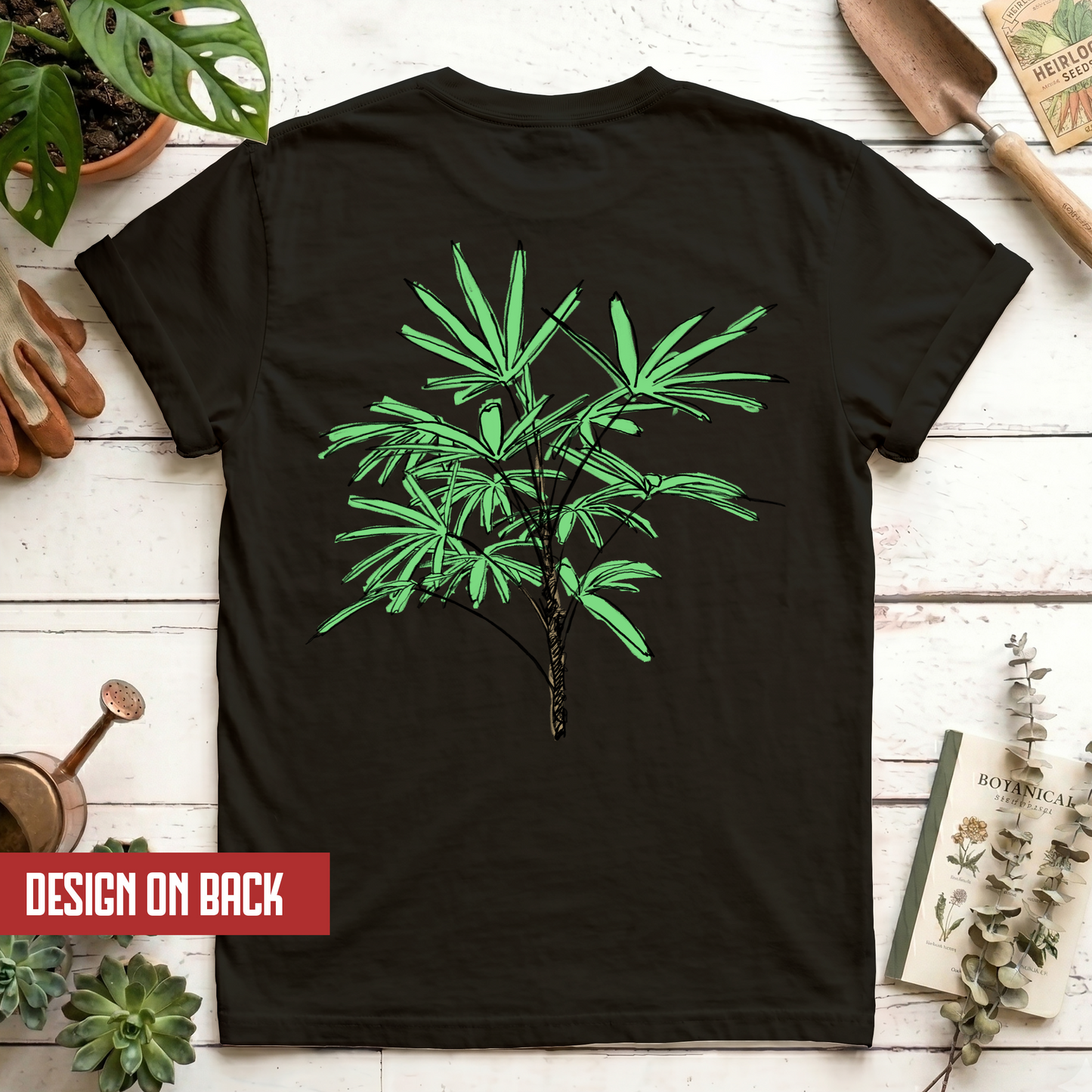 Lady Palm