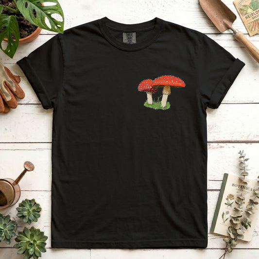 Mushrooms - Front