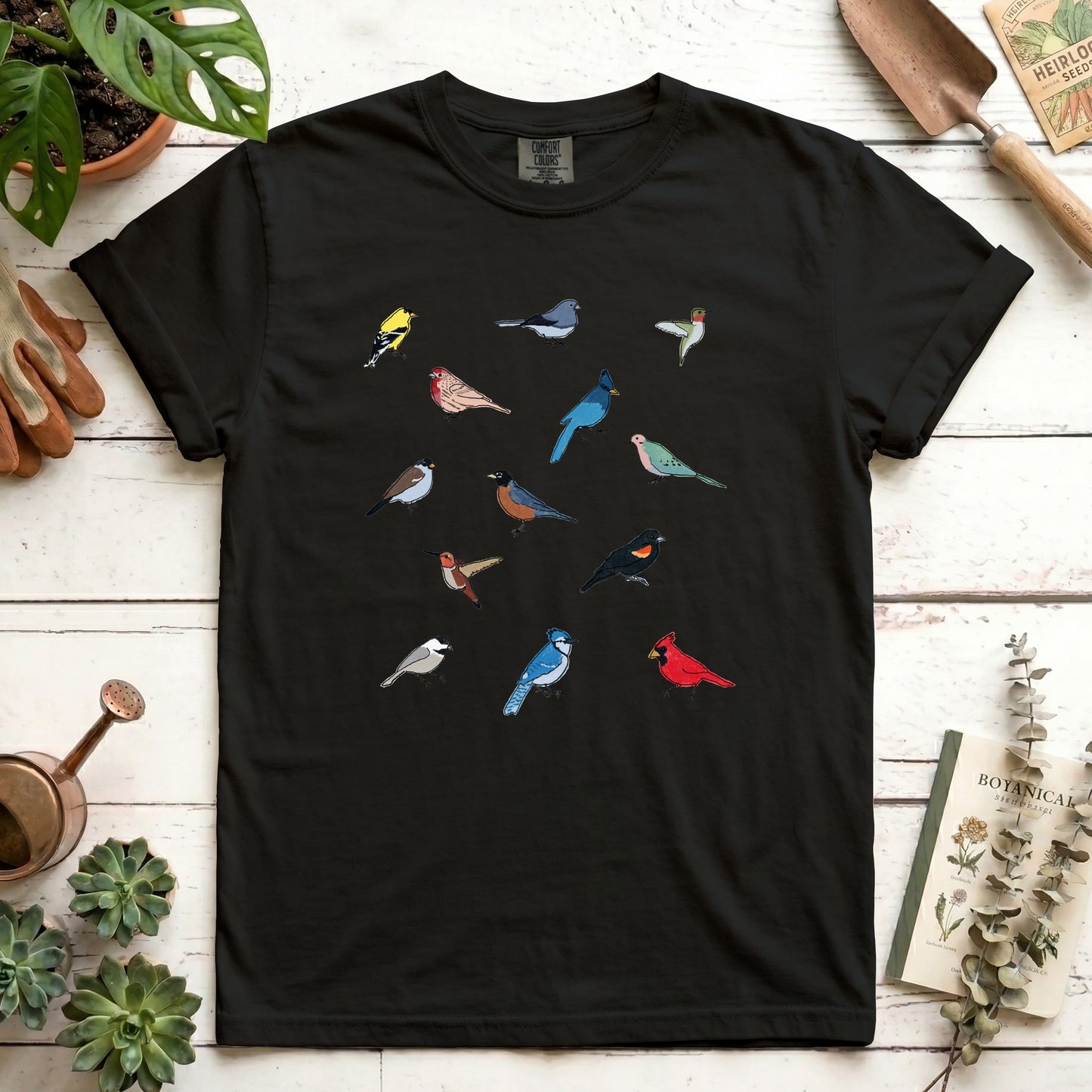 Birds