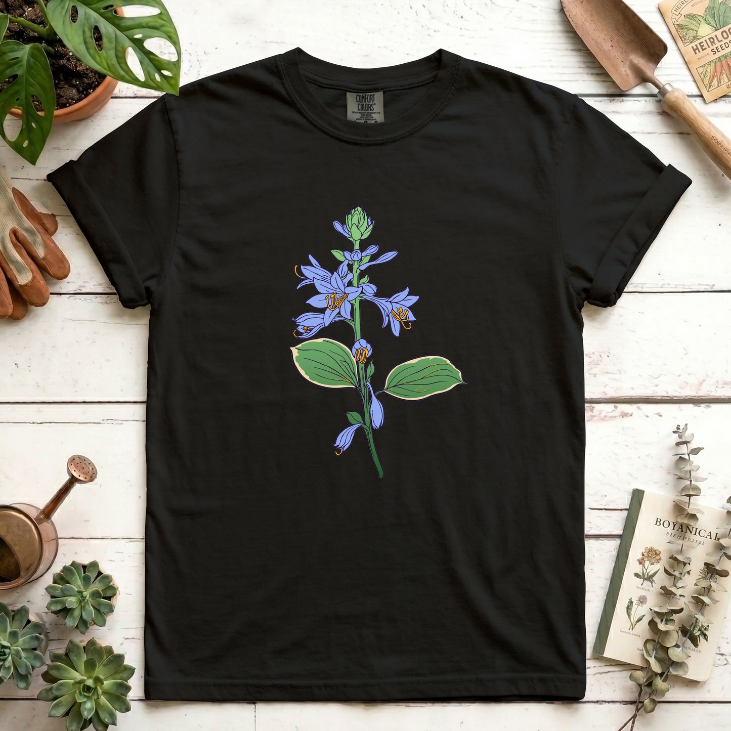Hosta - Front