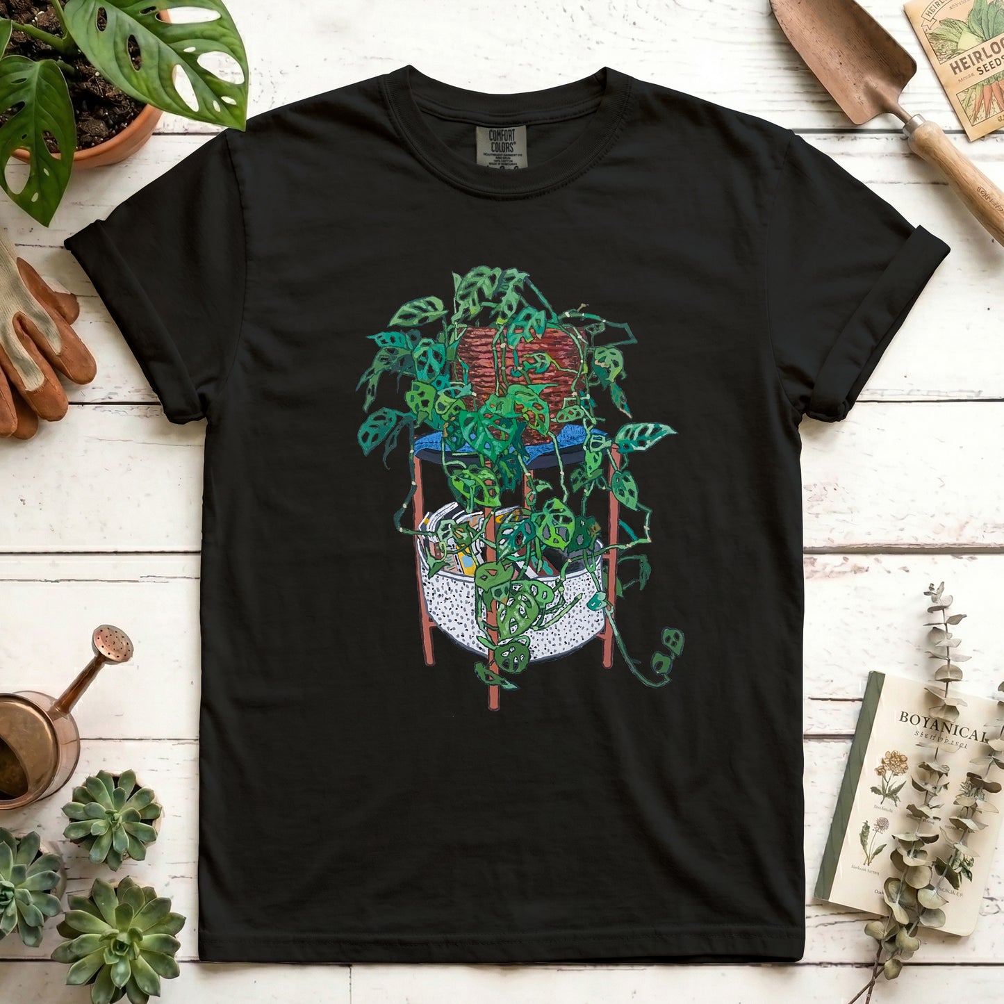 Japanese Monstera