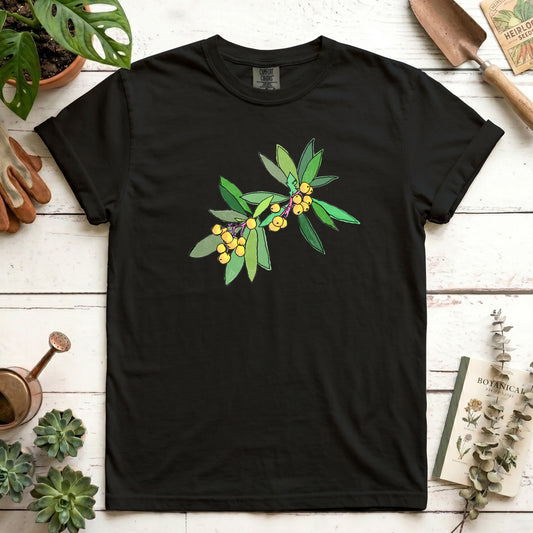 Loquat