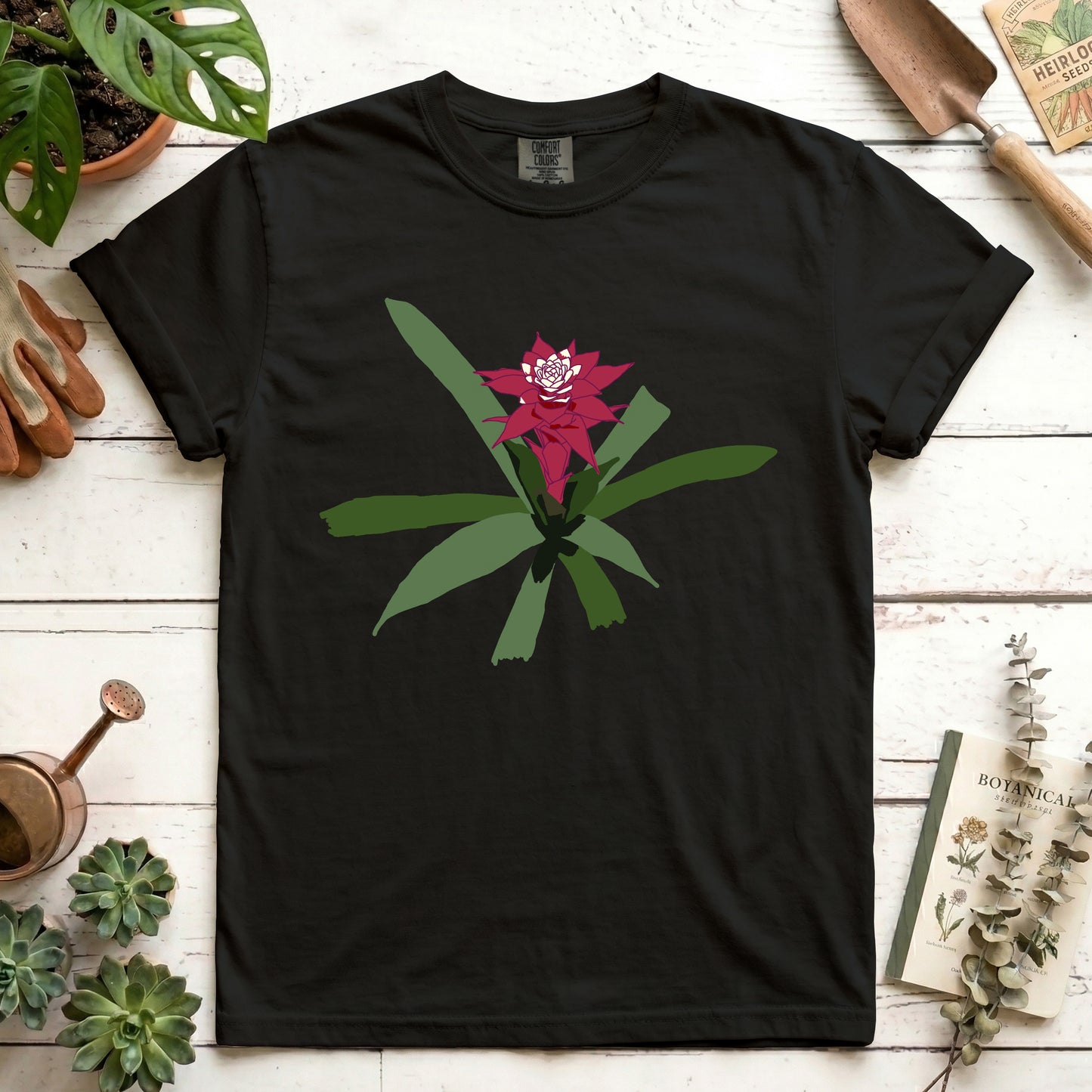 maroon bromeliad