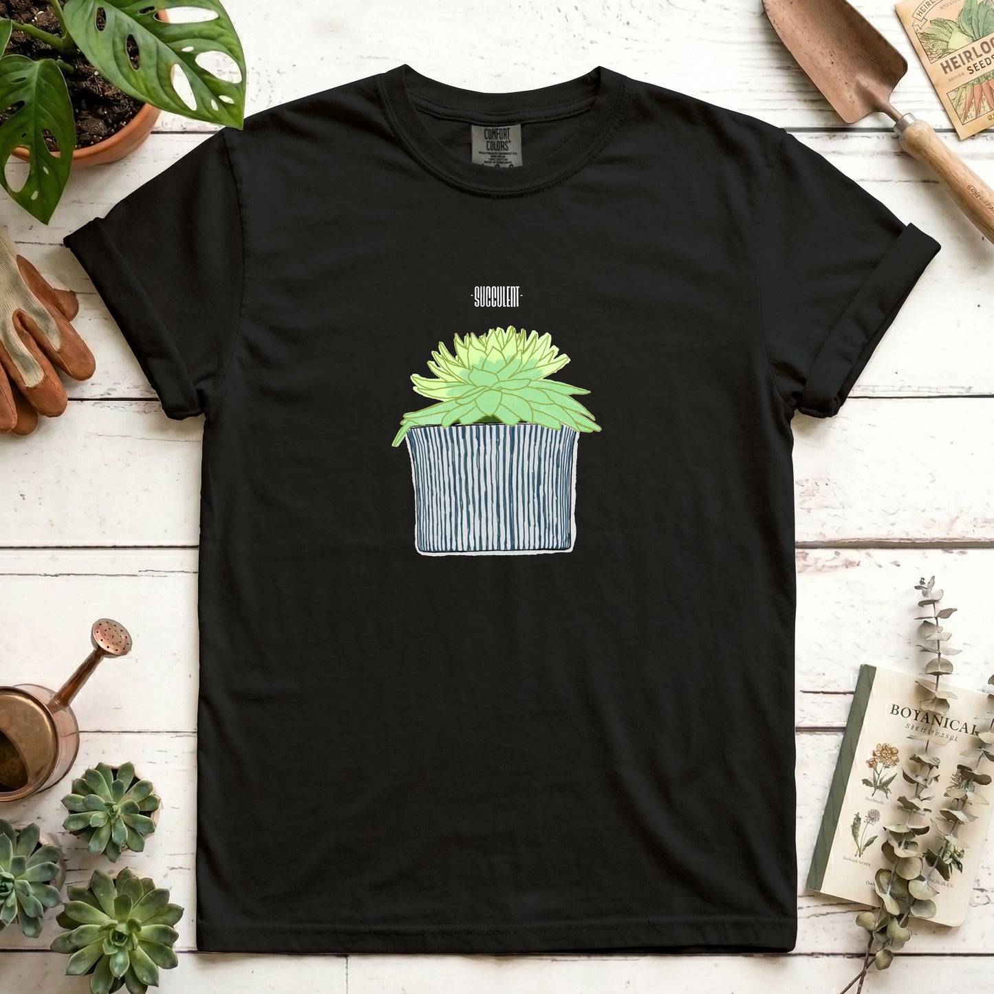 Succulent