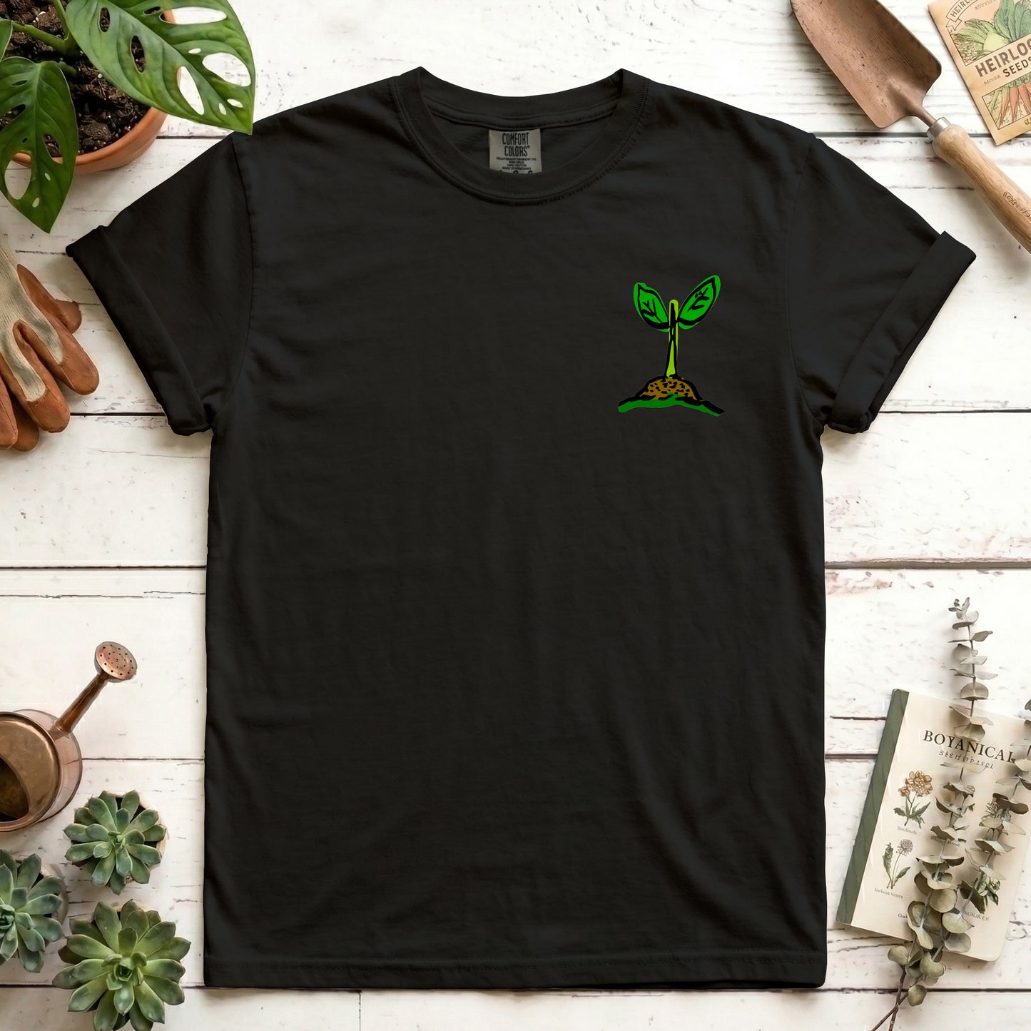 Seedling