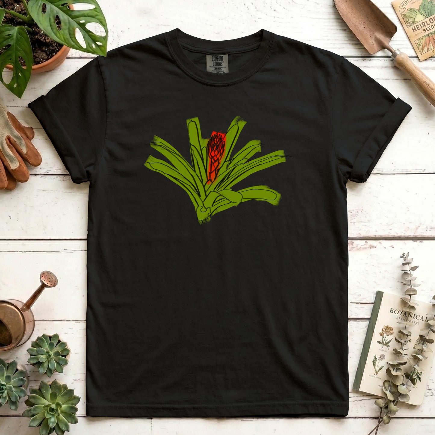 Bromeliad sketch